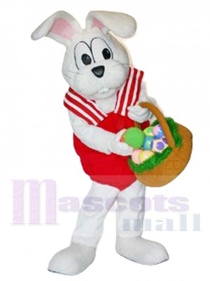 Peter Cottontail Rabbit Mascot Costume Cartoon