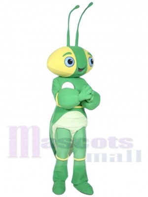 The Manty Mantis mascot costume