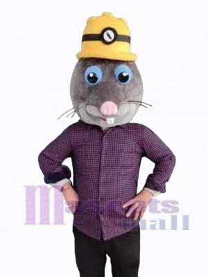 Mole mascot costume