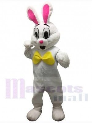 Easter Bunny Rabbit mascot costume