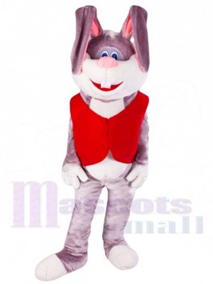 Long-eared Bunny Rabbit Mascot Costume Animal