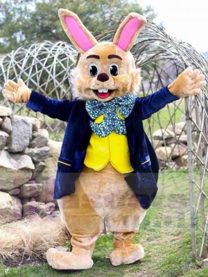 Easter Bunny Rabbit mascot costume