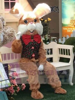 Brown Furry Easter Bunny Mascot Costume Animal