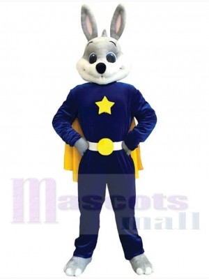 Easter Bunny Rabbit mascot costume