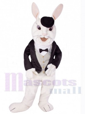 Easter Bunny Rabbit mascot costume
