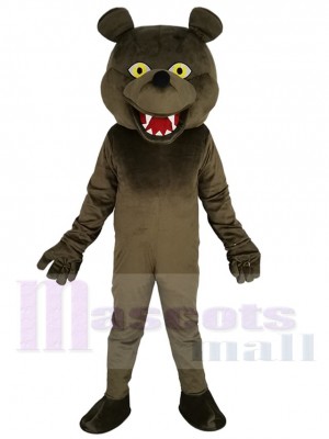 Grizzly Bear mascot costume