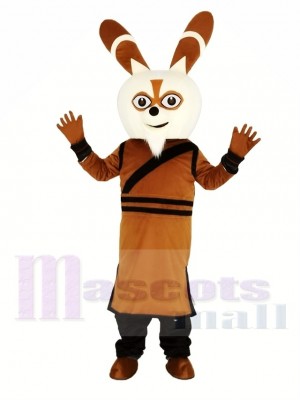 Kung Fu Panda Master Shifu Raccoon Mascot Costume Animal