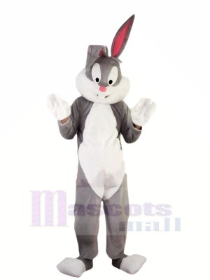 Hot Professional Easter Bunny Mascot Costumes Cheap