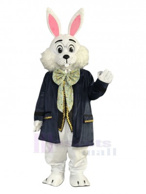 Easter Bunny Rabbit mascot costume