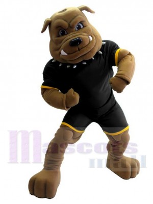 Robust Bulldog Mascot Costume For Adults Mascot Heads