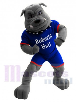 Bulldog Mascot Costume in Royal Blue Jersey Animal