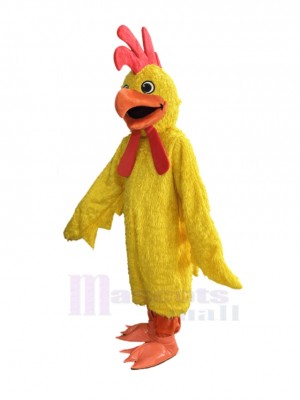 Chicken mascot costume