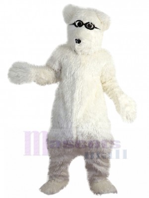 Sun Glasses White Polar Bears Mascot Costume