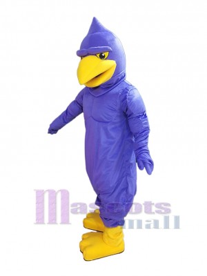 Hawk mascot costume
