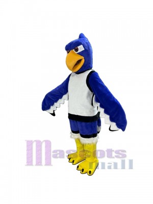 Seahawk mascot costume