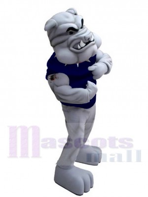 Bulldog in Dark Blue Vest Mascot Costume