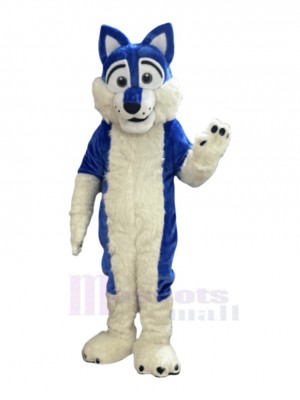 Wolf mascot costume