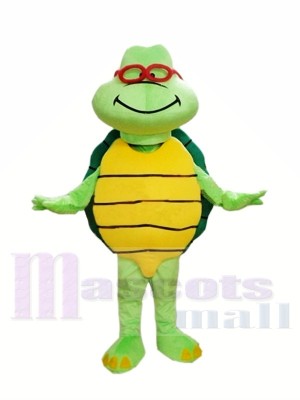 Cheap Green Turtle Custom Mascot Costumes 