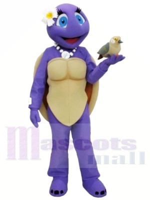 Female Turtle Mascot Costumes 