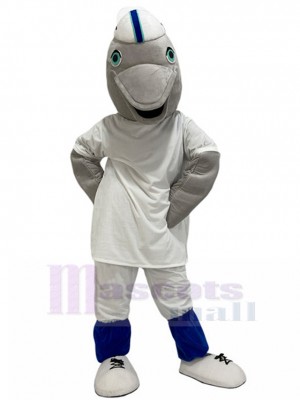 Dolphin mascot costume