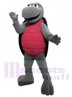 Turtle mascot costume