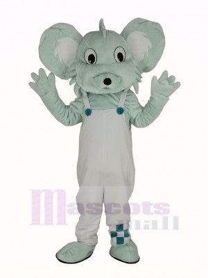 Grey Koala in White Coat Mascot Costume