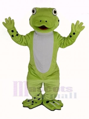 Cute Happy Frog Mascot Costume