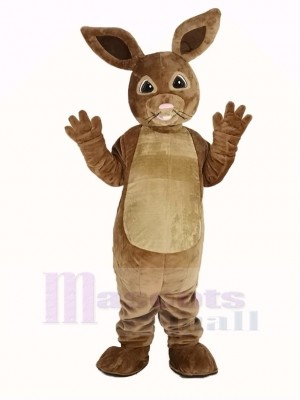 Peter Rabbit Mascot Costume