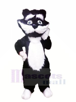 White and Black Sad Cat Mascot Costumes Cartoon	