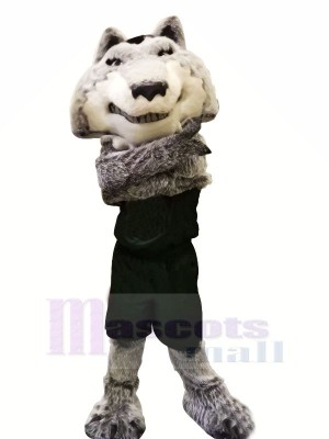 College Sport Wolf Mascot Costumes Cartoon