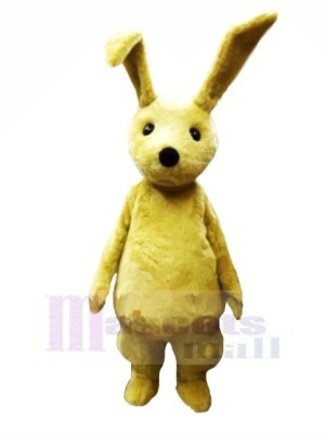 Young Rabbit with Long Ears Mascot Costumes Cartoon