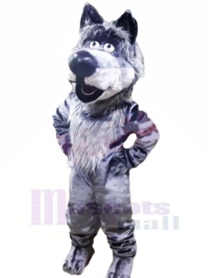 Friendly Wolf Mascot Costumes Cartoon	