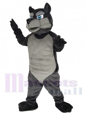 Wolf mascot costume