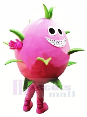 Dragon Fruit Pitaya Mascot Costume Cartoon