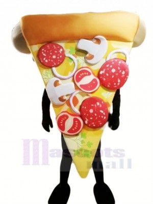 Top Quality Pizza Mascot Costume Cartoon