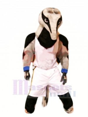 Sports Anteater Mascot Costume Cartoon