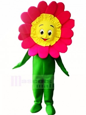 High Quality Sunflower Mascot Costume Cartoon	