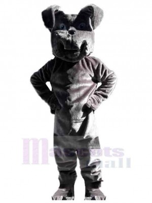 Dog mascot costume