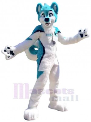 Dog mascot costume