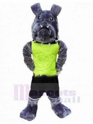 Dog mascot costume