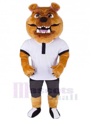 Dog mascot costume