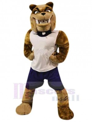 Dog mascot costume