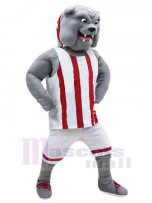 Muscle Gray Bulldog Mascot Costume Animal