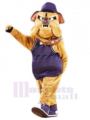 Brown Bulldog Mascot Costume Animal with Blue Hat