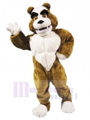 Power Muscular Bulldog Mascot Costume Animal