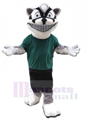 Smiling Hyena Dog Mascot Costume Animal in Green T-shirt