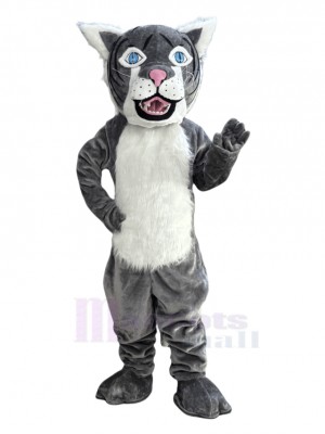 Wildcat mascot costume