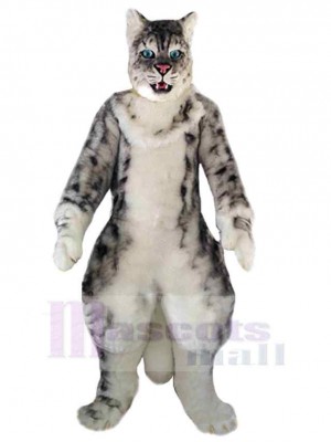 Strong American Shorthair Cat Mascot Costume Animal