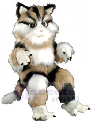Cute Long Fur Black White and Brown Cat Mascot Costume Animal