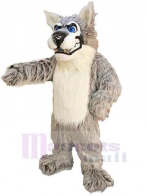 Wolf mascot costume